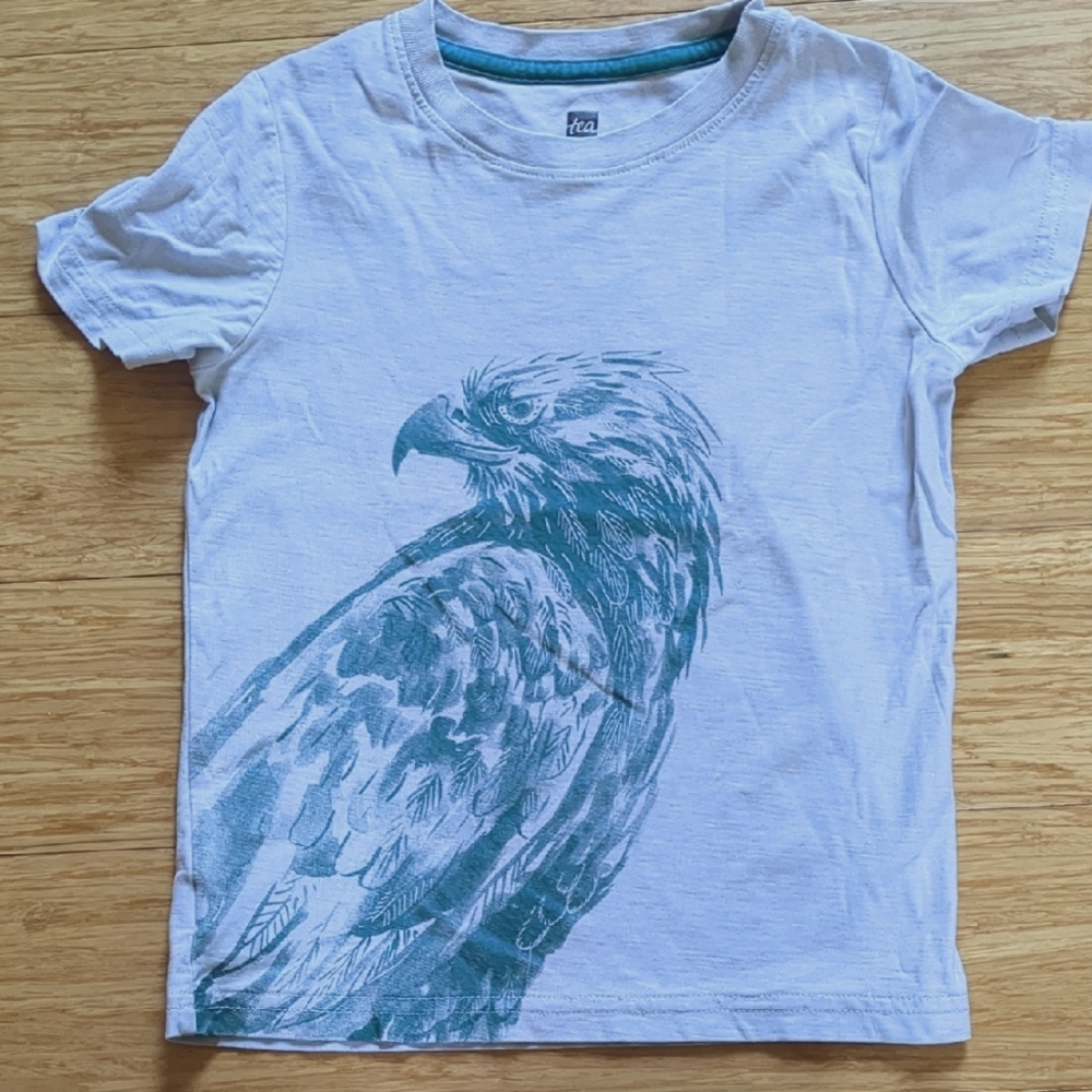 Tea Collection Hawk Eagle Graphic T-shirt, Size 5